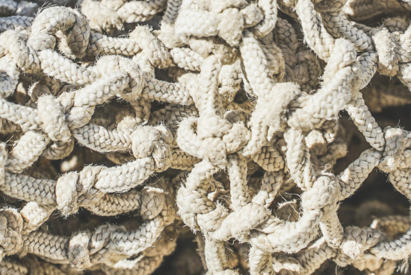 PROJECTE 2. DIGITALITZACIÓ PESQUER